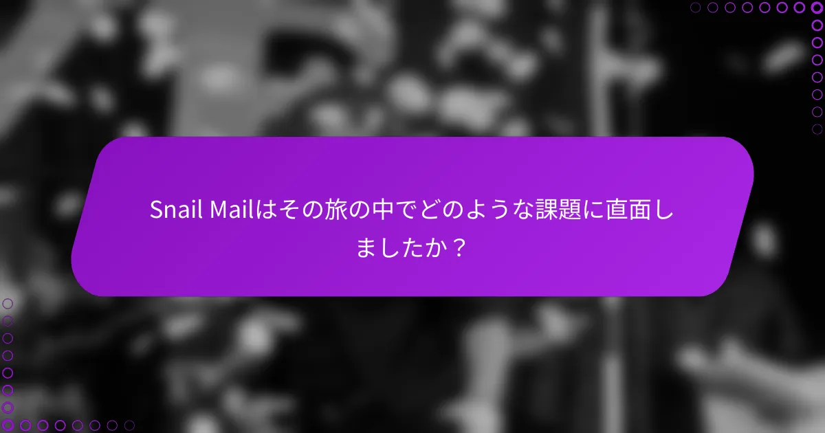 Snail Mailはその旅の中でどのような課題に直面しましたか？